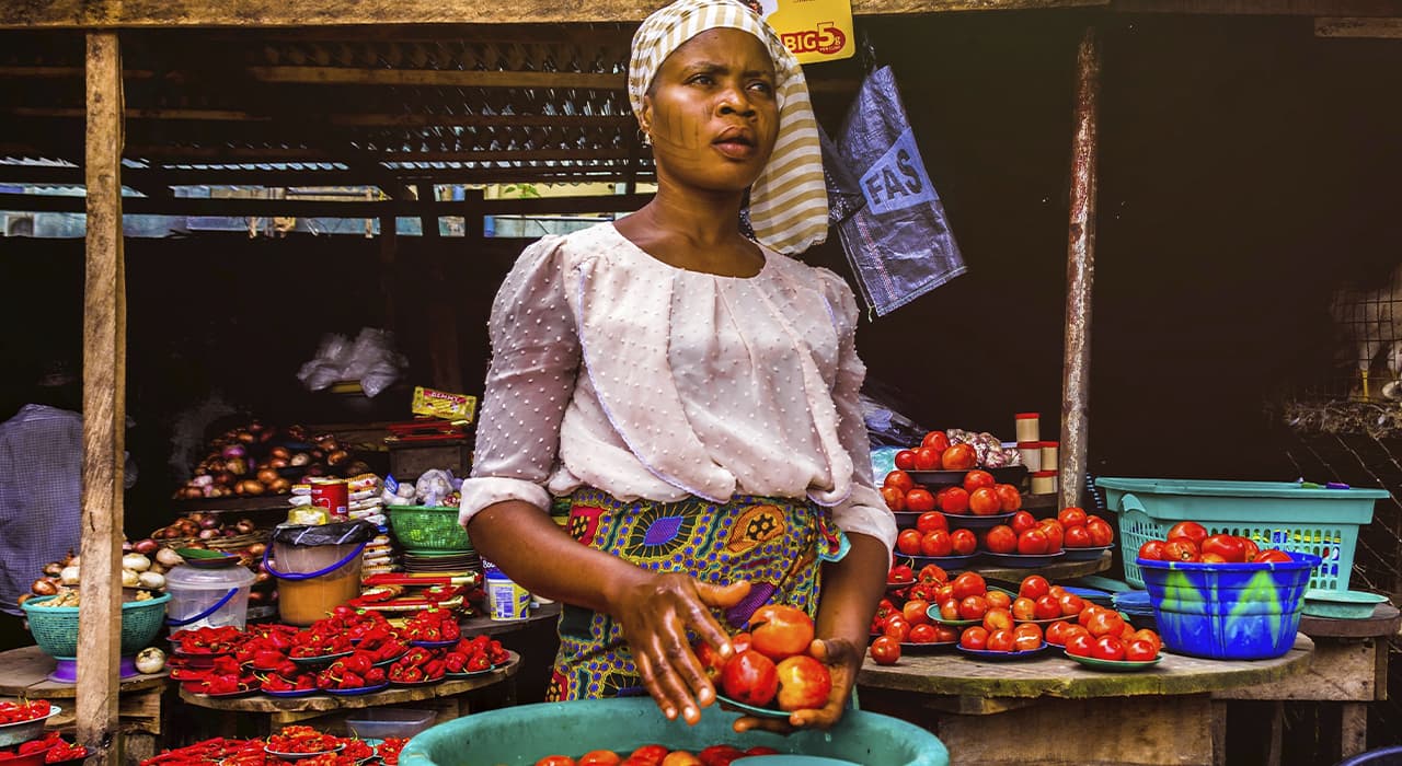 Africa’s Integration into the International Agricultural Trade System